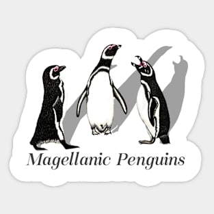 Magellanic Penguins Labeled Sticker